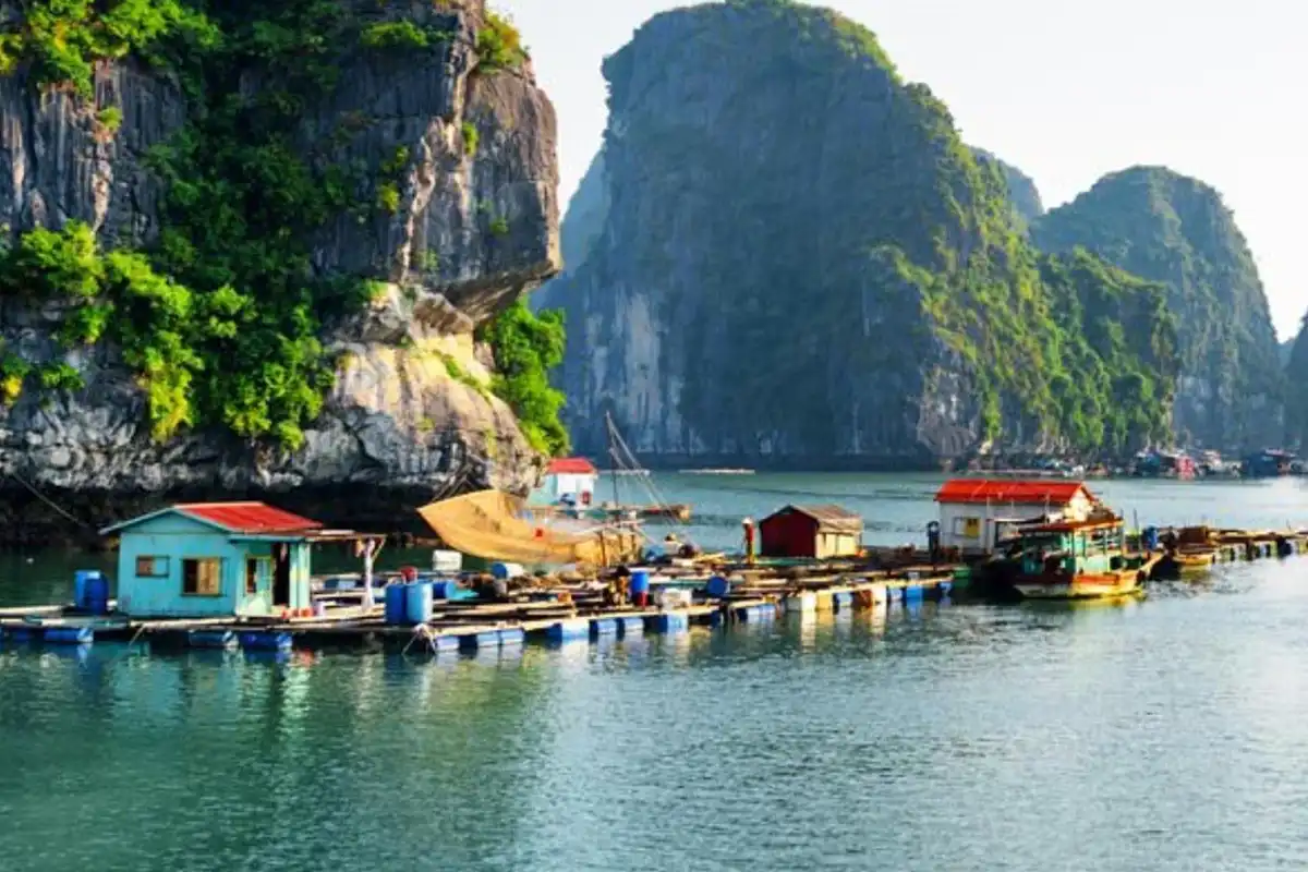 Ha Long